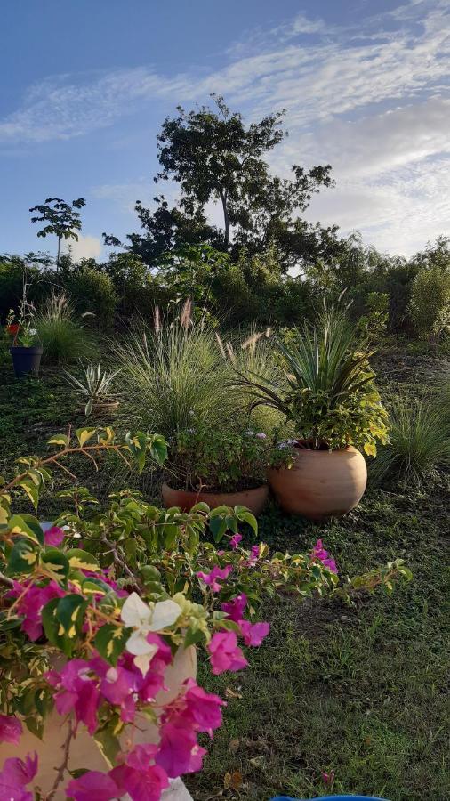 P'Tites Chambres Dans La Campagne De Marie Galante Grand-Bourg  Екстериор снимка